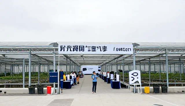 社交媒体代运营：设计误区与实际取舍对比